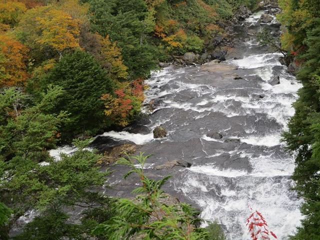 画像8: 【山旅会・登山ガイドこだわりツアー】添乗員からの便り・尾瀬燧裏林道ツアーにいってまいりました!(その2)