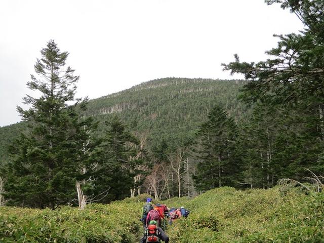 画像10: 【山旅会・登山ガイドこだわりツアー】添乗員からの便り・麦草峠から五辻、坪庭ツアーにいってまいりました!