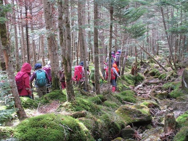画像8: 【山旅会・登山ガイドこだわりツアー】添乗員からの便り・麦草峠から五辻、坪庭ツアーにいってまいりました!