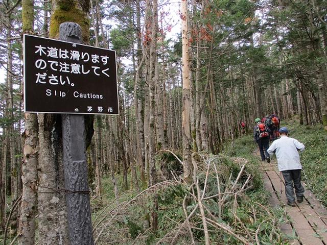 画像11: 【山旅会・登山ガイドこだわりツアー】添乗員からの便り・麦草峠から五辻、坪庭ツアーにいってまいりました!