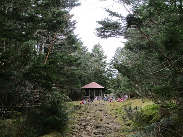 画像9: 【山旅会・登山ガイドこだわりツアー】添乗員からの便り・麦草峠から五辻、坪庭ツアーにいってまいりました!