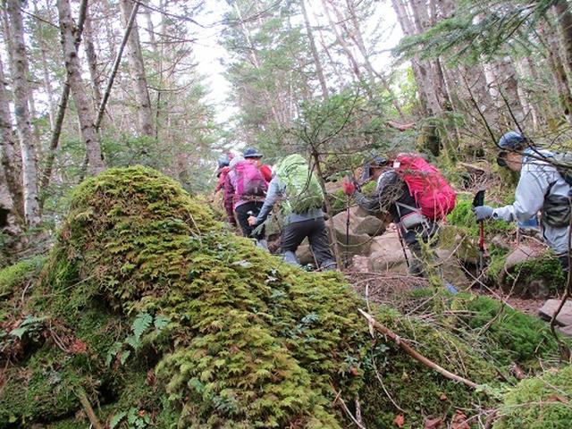 画像2: 【山旅会・登山ガイドこだわりツアー】添乗員からの便り・麦草峠から五辻、坪庭ツアーにいってまいりました!