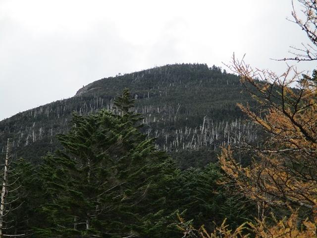 画像7: 【山旅会・登山ガイドこだわりツアー】添乗員からの便り・麦草峠から五辻、坪庭ツアーにいってまいりました!
