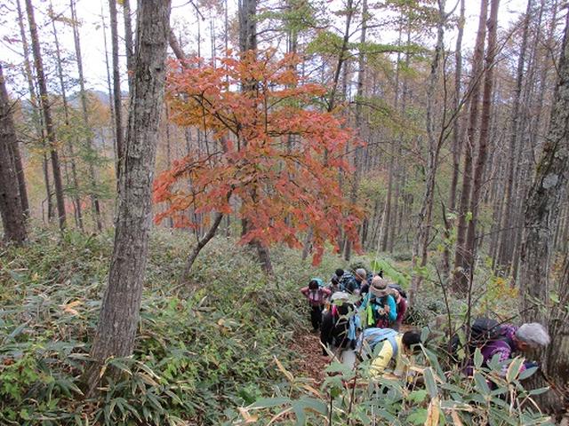 画像5: 【山旅会・登山ガイドこだわりツアー】岡田ガイドからの便り守屋山ツアーにいってまいりました!