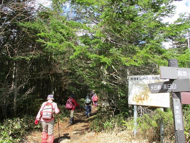 画像1: 【山旅会・登山ガイドこだわりツアー】添乗員からの便り・麦草峠から五辻、坪庭ツアーにいってまいりました!