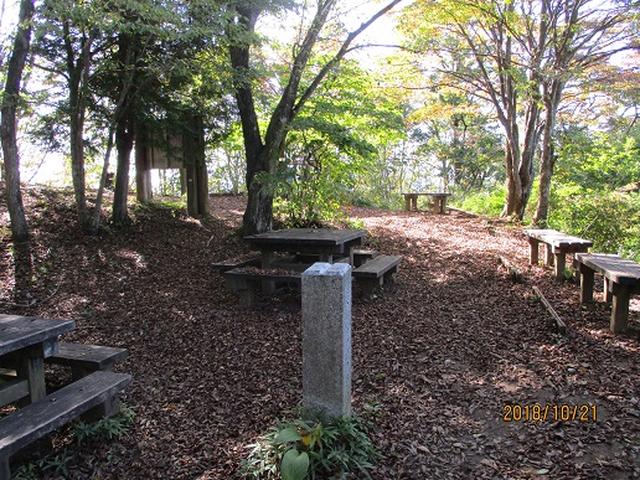 画像9: 【山旅会・登山ガイドこだわりツアー】岡田ガイドからの便り・浅間峠から生藤山ツアーの下見にいってまいりました!