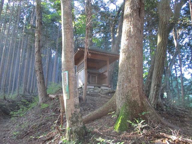 画像2: 【山旅会・登山ガイドこだわりツアー】岡田ガイドからの便り・浅間峠から生藤山ツアーの下見にいってまいりました!