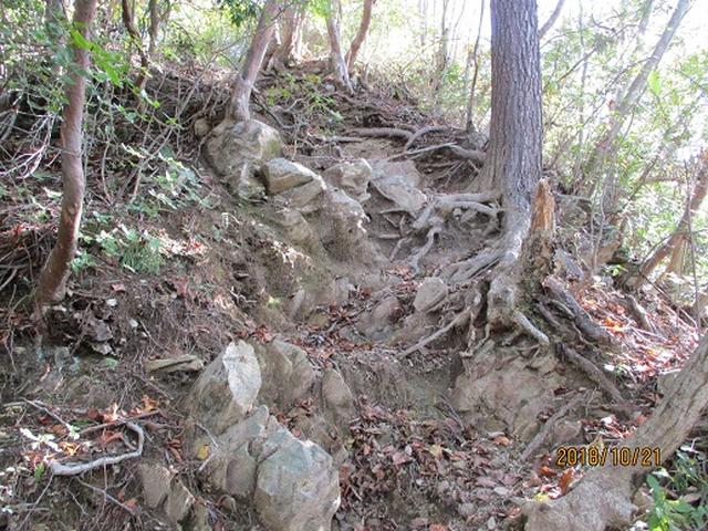 画像10: 【山旅会・登山ガイドこだわりツアー】岡田ガイドからの便り・浅間峠から生藤山ツアーの下見にいってまいりました!