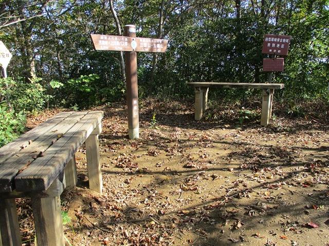 画像6: 【山旅会・登山ガイドこだわりツアー】岡田ガイドからの便り・浅間峠から生藤山ツアーの下見にいってまいりました!