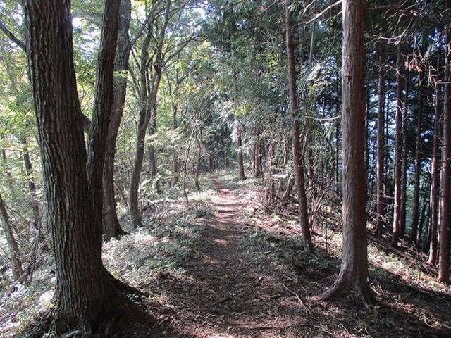 画像4: 【山旅会・登山ガイドこだわりツアー】岡田ガイドからの便り・浅間峠から生藤山ツアーの下見にいってまいりました!