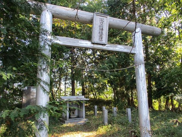 画像7: 【山旅会・登山ガイドこだわりツアー】岡田ガイドからの便り・浅間峠から生藤山ツアーの下見にいってまいりました!