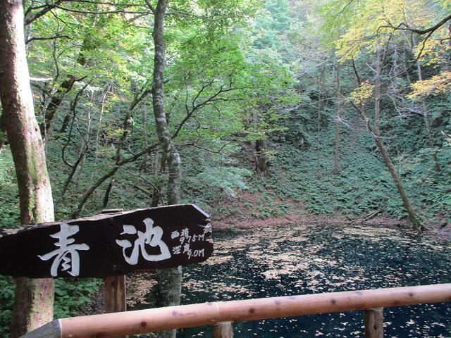 画像7: 【山旅会・登山ガイドこだわりツアー】添乗員からの便り・白神山地ツアーにいってまいりました!(その1)