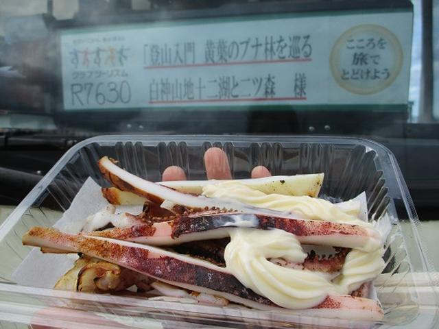 画像4: 【山旅会・登山ガイドこだわりツアー】添乗員からの便り・白神山地ツアーにいってまいりました!(その1)