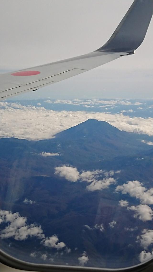 画像1: 【山旅会・登山ガイドこだわりツアー】添乗員からの便り・白神山地ツアーにいってまいりました!(その1)