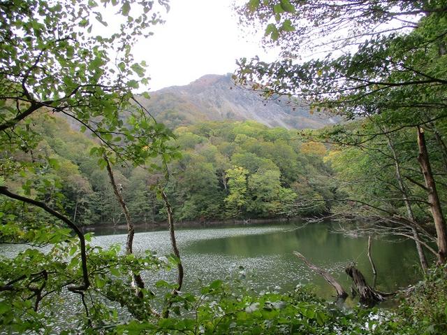 画像6: 【山旅会・登山ガイドこだわりツアー】添乗員からの便り・白神山地ツアーにいってまいりました!(その1)