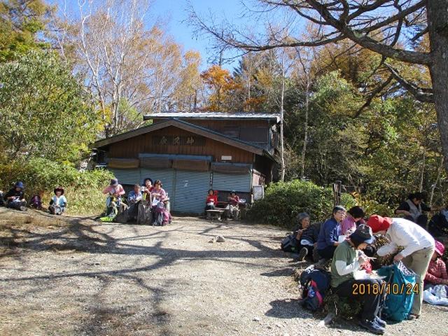 画像6: 【山旅会・登山ガイドこだわりツアー】岡田ガイドからの便り・夜叉神峠から高谷山ツアーにいってまいりました!