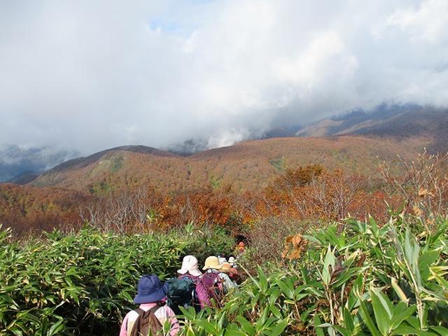 画像5: 【山旅会・登山ガイドこだわりツアー】添乗員からの便り・白神山地ツアーにいってまいりました!(その3)