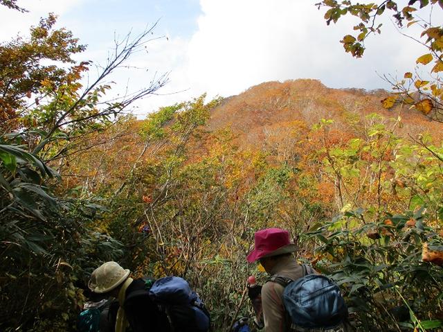 画像7: 【山旅会・登山ガイドこだわりツアー】添乗員からの便り・白神山地ツアーにいってまいりました!(その3)