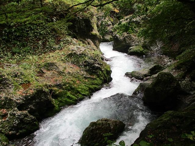 画像9: 【山旅会・登山ガイドこだわりツアー】添乗員からの便り・白神山地ツアーにいってまいりました!(その3)
