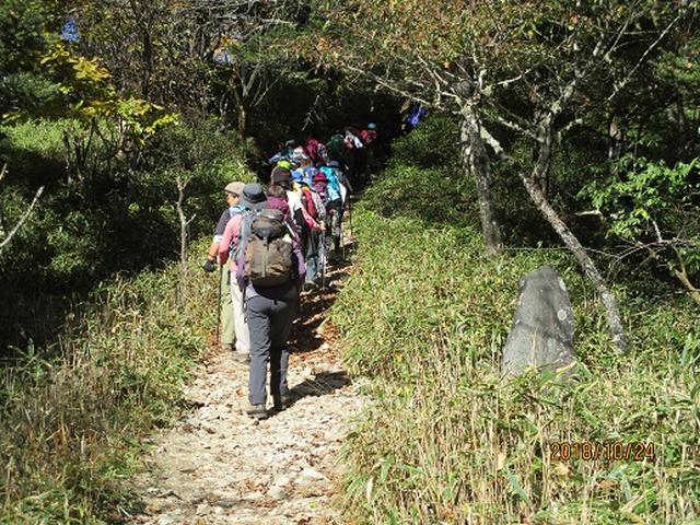 画像3: 【山旅会・登山ガイドこだわりツアー】岡田ガイドからの便り・夜叉神峠から高谷山ツアーにいってまいりました!