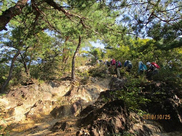 画像3: 【山旅会・登山ガイドこだわりツアー】岡田ガイドからの便り・足利行道山ツアーにいってまいりました!