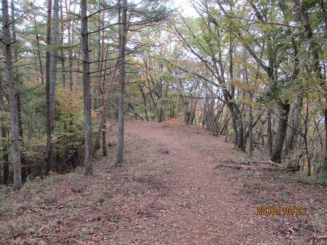 画像7: 【山旅会・登山ガイドこだわりツアー】岡田ガイドからの便り・扇山の下見にいってまいりました!