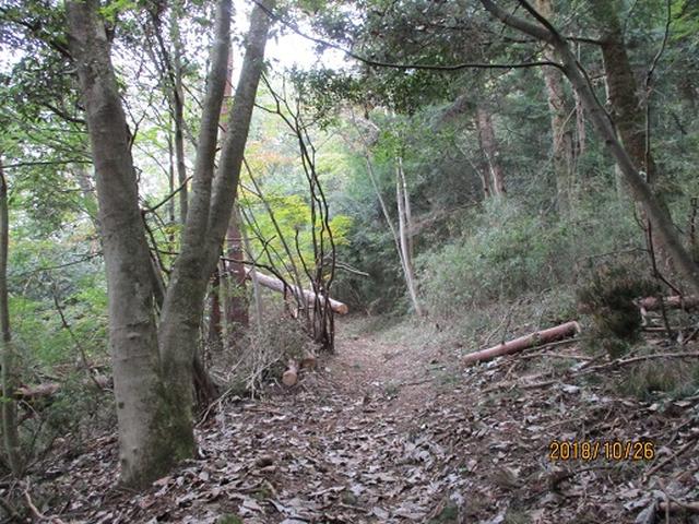 画像2: 【山旅会・登山ガイドこだわりツアー】岡田ガイドからの便り・扇山の下見にいってまいりました!