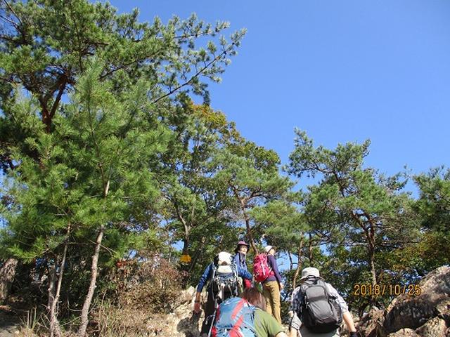 画像2: 【山旅会・登山ガイドこだわりツアー】岡田ガイドからの便り・足利行道山ツアーにいってまいりました!