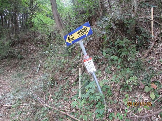 画像1: 【山旅会・登山ガイドこだわりツアー】岡田ガイドからの便り・扇山の下見にいってまいりました!