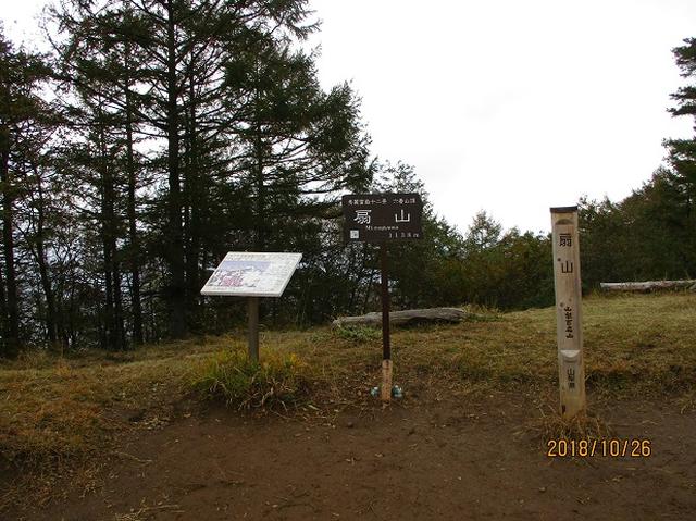 画像5: 【山旅会・登山ガイドこだわりツアー】岡田ガイドからの便り・扇山の下見にいってまいりました!