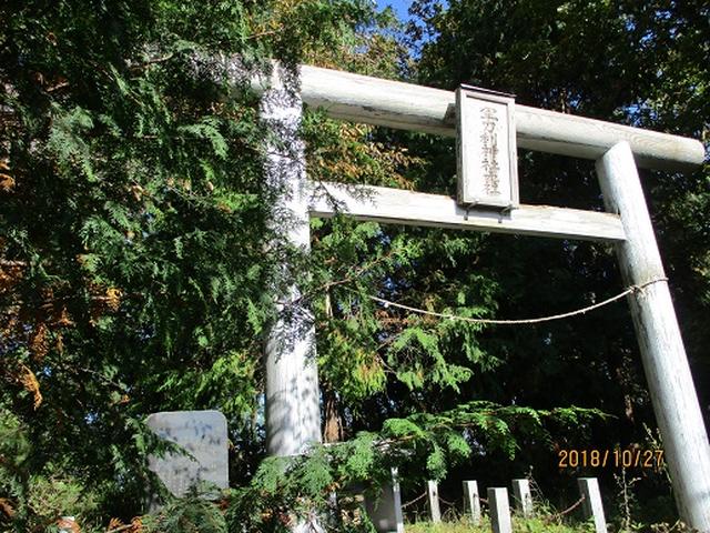 画像6: 【山旅会・登山ガイドこだわりツアー】岡田ガイドからの便り・浅間峠から生藤山ツアーにいってまいりました!