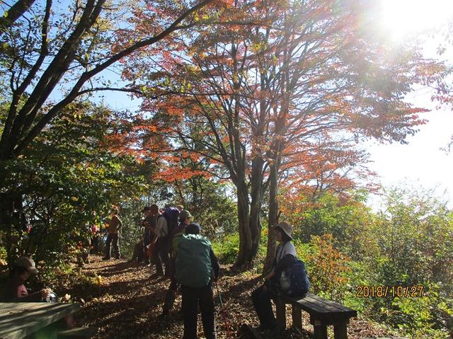 画像9: 【山旅会・登山ガイドこだわりツアー】岡田ガイドからの便り・浅間峠から生藤山ツアーにいってまいりました!