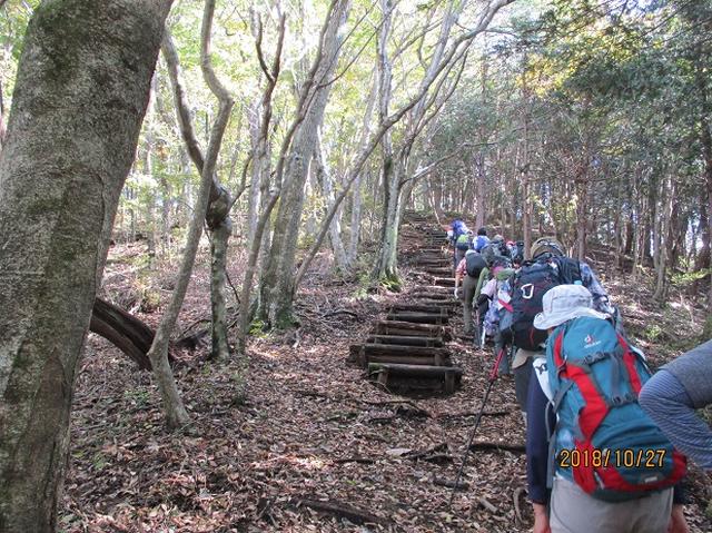 画像4: 【山旅会・登山ガイドこだわりツアー】岡田ガイドからの便り・浅間峠から生藤山ツアーにいってまいりました!
