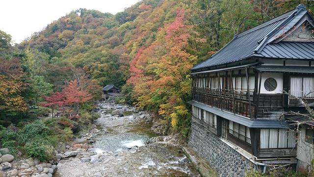画像10: 【山旅会・登山ガイドこだわりツアー】岡田ガイドからの便り・照葉峡ハイキングツアーにいってまいりました!