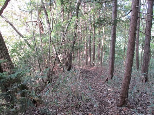画像10: 【山旅会・登山ガイドこだわりツアー】岡田ガイドからの便り・和田峠から市道山ツアーの下見にいってまいりました!