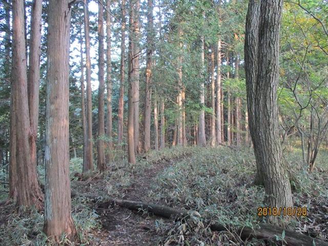 画像2: 【山旅会・登山ガイドこだわりツアー】岡田ガイドからの便り・和田峠から市道山ツアーの下見にいってまいりました!