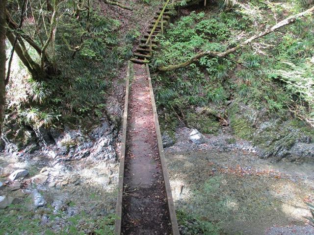 画像11: 【山旅会・登山ガイドこだわりツアー】岡田ガイドからの便り・和田峠から市道山ツアーの下見にいってまいりました!