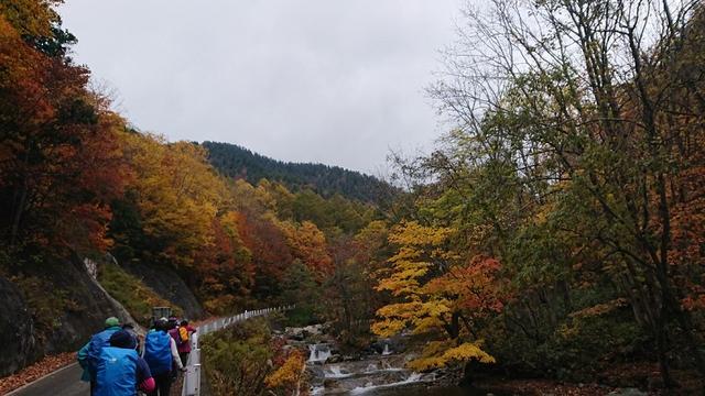画像7: 【山旅会・登山ガイドこだわりツアー】岡田ガイドからの便り・照葉峡ハイキングツアーにいってまいりました!