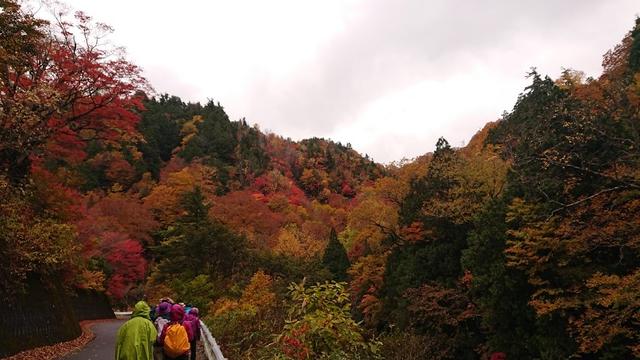 画像5: 【山旅会・登山ガイドこだわりツアー】岡田ガイドからの便り・照葉峡ハイキングツアーにいってまいりました!