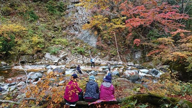 画像4: 【山旅会・登山ガイドこだわりツアー】岡田ガイドからの便り・照葉峡ハイキングツアーにいってまいりました!