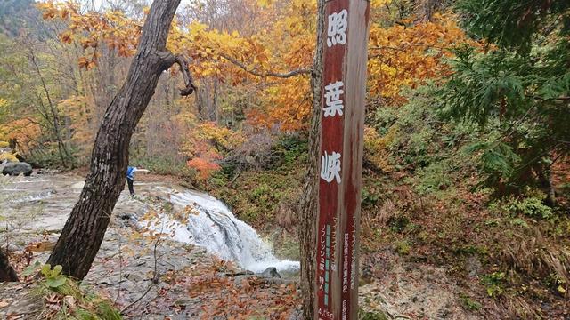 画像6: 【山旅会・登山ガイドこだわりツアー】岡田ガイドからの便り・照葉峡ハイキングツアーにいってまいりました!