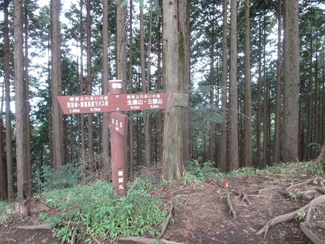画像4: 【山旅会・登山ガイドこだわりツアー】岡田ガイドからの便り・和田峠から市道山ツアーの下見にいってまいりました!