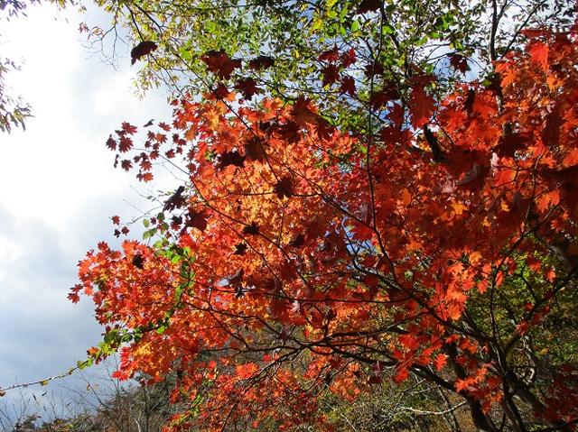 画像6: 【山旅会・登山ガイドこだわりツアー】岡田ガイドからの便り・霊山ツアーにいってまいりました!