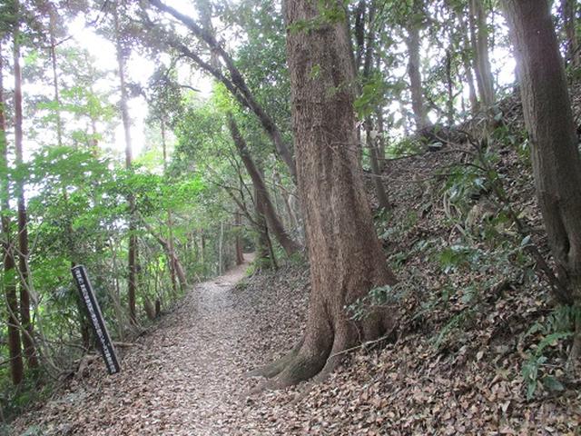 画像5: 【山旅会・登山ガイドこだわりツアー】岡田ガイドからの便り・散在ヶ池から祇園山ツアーの下見にいってまいりました!