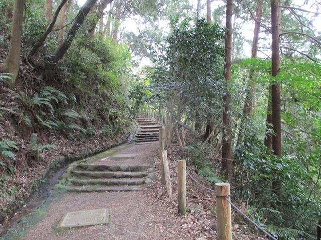 画像2: 【山旅会・登山ガイドこだわりツアー】岡田ガイドからの便り・散在ヶ池から祇園山ツアーの下見にいってまいりました!