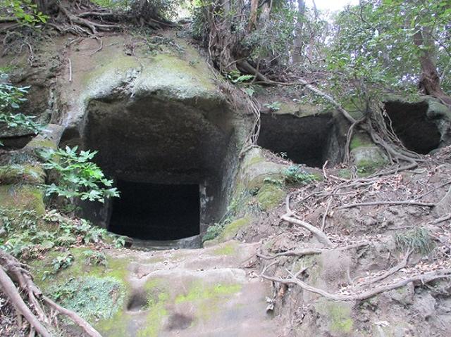 画像4: 【山旅会・登山ガイドこだわりツアー】岡田ガイドからの便り・散在ヶ池から祇園山ツアーの下見にいってまいりました!