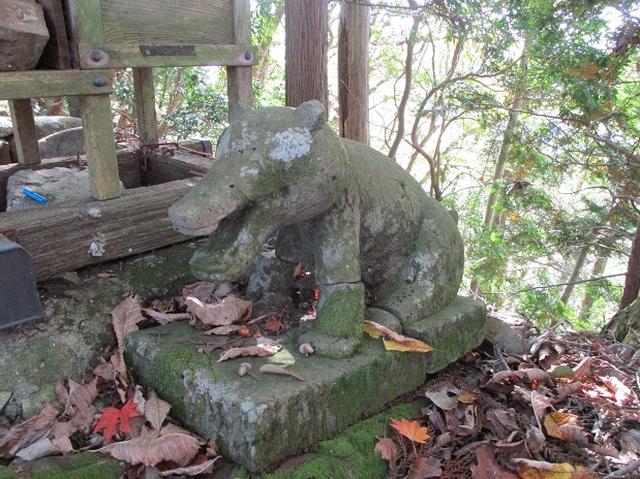 画像7: 【山旅会・登山ガイドこだわりツアー】岡田ガイドからの便り・臼杵山ツアーの下見にいってまいりました!