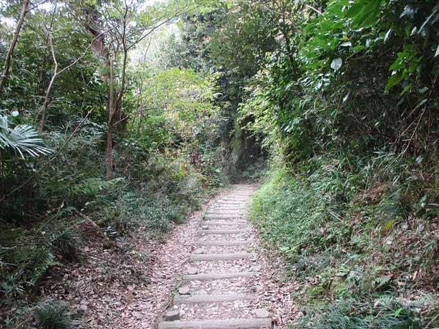 画像6: 【山旅会・登山ガイドこだわりツアー】岡田ガイドからの便り・散在ヶ池から祇園山ツアーの下見にいってまいりました!