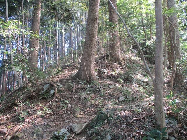 画像2: 【山旅会・登山ガイドこだわりツアー】岡田ガイドからの便り・臼杵山ツアーの下見にいってまいりました!