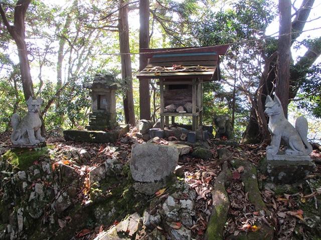 画像6: 【山旅会・登山ガイドこだわりツアー】岡田ガイドからの便り・臼杵山ツアーの下見にいってまいりました!
